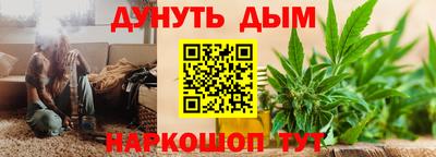 сатива Лесосибирск