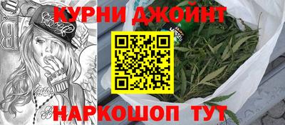сатива Лесосибирск