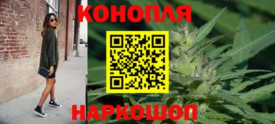 сатива Лесосибирск