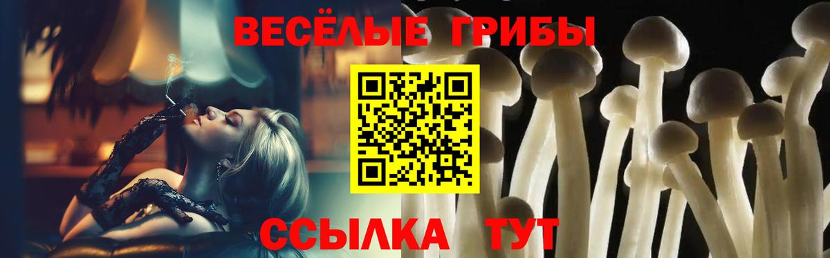 Псилоцибиновые грибы мицелий Ирбит
